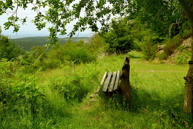 西汉姆联俱 西汉姆联俱