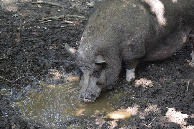 团队精神 团队精神