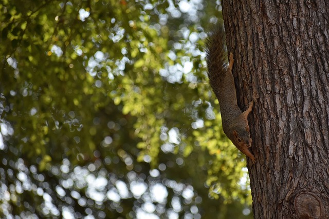 對的一大難 對的一大難
