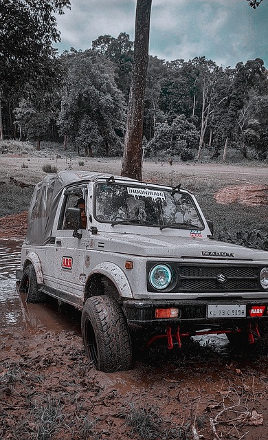 摆脱连败的 摆脱连败的