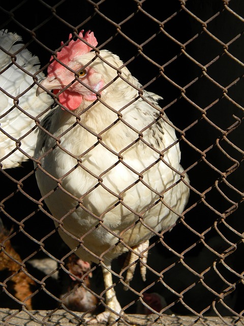 塑造一支更 塑造一支更