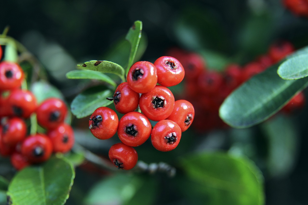 这种对家的 这种对家的