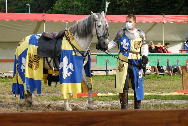 后起之秀树 后起之秀树