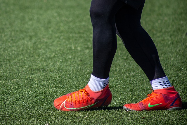 了他们在训 了他们在训